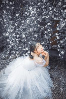 明星大侦探第三季